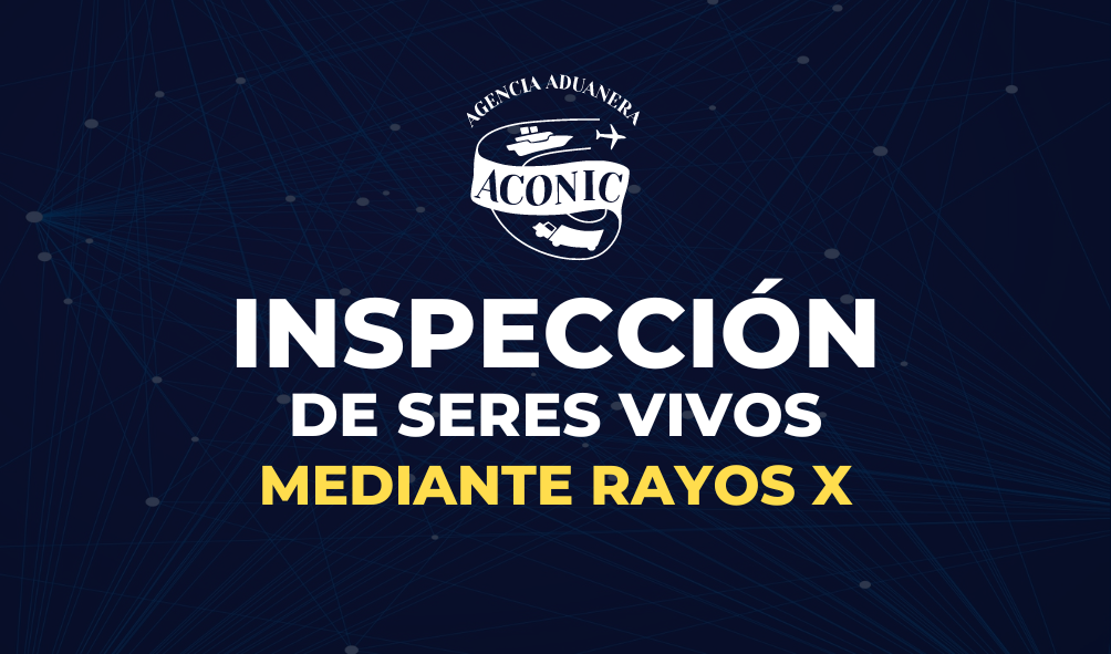 Inspección de seres vivos mediante rayos x