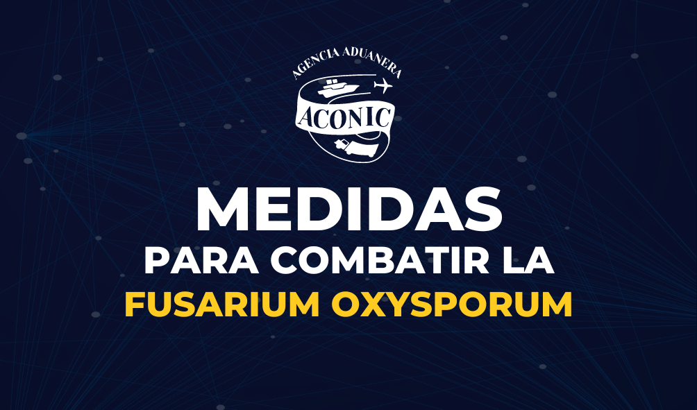 Medidas para Combatir la Fusarim Oxyporum