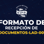 Formato de Recepción de Documentos